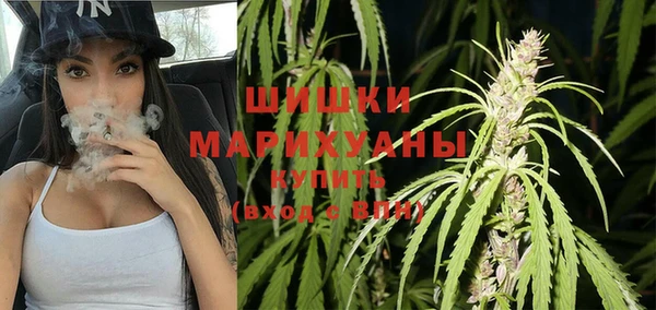 СК Кодинск