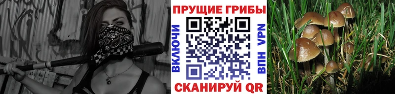 Псилоцибиновые грибы мухоморы  Купить закладки  Вологда 
